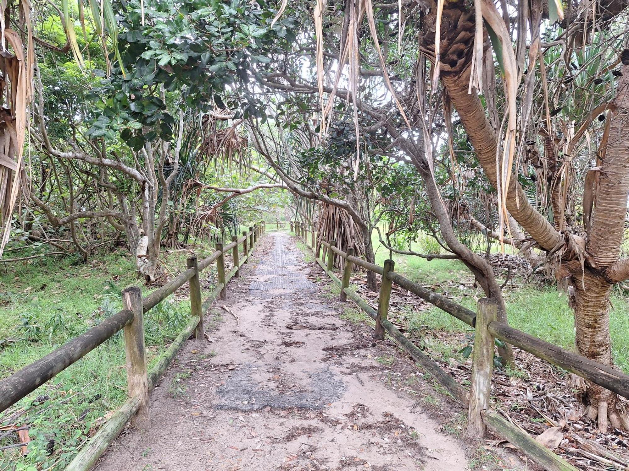 Ballina Beach Nature Resort Bagian luar foto